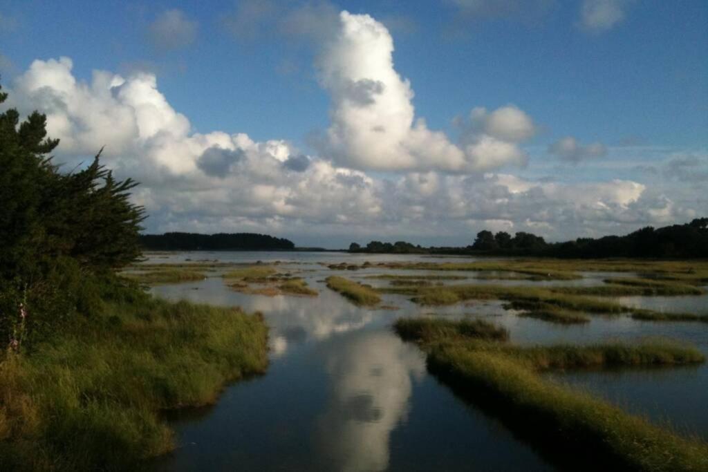 Maison Avec Jardin Clos. Animaux Acceptes - Wifi - Proche Plages De La Trinite Sur Mer Et Carnac Exterior foto
